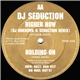 DJ Seduction - Higher Now (DJ Unknown & Seduction Remix) / Holding On