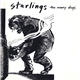 Starlings - Too Many Dogs