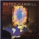 Peter Hammill - Roaring Forties