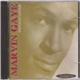 Marvin Gaye - Distant Lover